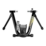 CycleOps Wind Indoor Bicycle Trainer