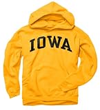 Iowa Hawkeyes Youth Gold Arch Hooded Sweatshirt