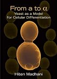 From a to alpha: Yeast as a Model for Cellular Differentiation