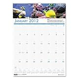 House of Doolittle HOD3642 Wall Calendar- Seal Life Photo- Jan-Dec- Wire Bound- 12in.x16-.50in.