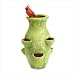 Playful Birds Atop a Strawberry Pot