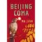 Asian fiction  (1)