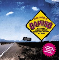 Deep Inside of CAMINO