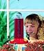 Outdoor Living : Droll Yankees Window Hummingbird Feeder