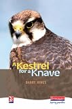 Kestrel for a Knave (New Windmills)