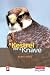 Kestrel for a Knave (New Windmills)