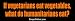 If Vegetarians eat vegetables what do Humanitarians eat? - funny bumper stickers (Medium)