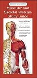 Anatomical Chart Company's Illustrated Pocket Anatomy: Muscular and Skeletal Systems Study Guide (Anatomical Chart Company's Illustrated Pocket Anatomy)