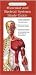 Anatomical Chart Company's Illustrated Pocket Anatomy: Muscular and Skeletal Systems Study Guide (Anatomical Chart Company's Illustrated Pocket Anatomy)