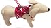 Pet Supplies : Lovebledog Dog Sport Back Pack with Lead, Hot Pink