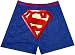 Search : Superman Shield with background shields for men