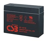 CSB HC1221W - 12 Volt/5.1 Amp Hour (21 Watts) Sealed Lead Acid Battery with Recessed Polarized Terminals