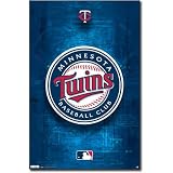 (22x34) Minnesota Twins Logo 2011 Sports Poster Print