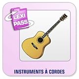 Revue Conitiv - Synchron  / Lexminder Anglais - Logiciel pour mémoriser du vocabulaire - Instruments a cordes