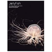 Jellyfish ヒーリングアート クラゲ [DVD]