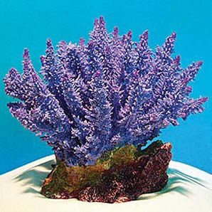 Natures Image No. 11A Bushy Acropora Purple 6 in x 6 in x 5 in Coral Reproduction