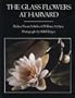 The Glass Flowers at Harvard