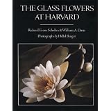 The Glass Flowers at Harvard ~ Richard Evans Schultes