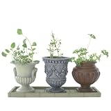 Review Kikkerland  / Idyllic Herb Garden Set