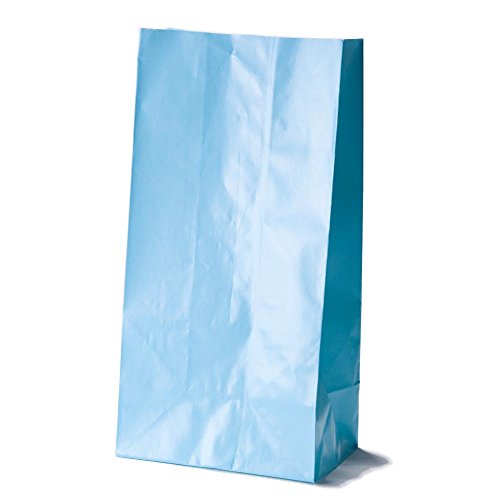 Baby Blue Paper Bags