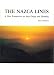 The Nazca Lines: A New Perspective on their Origin and Meaning