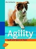 Agility: Spaß und Sport im Team