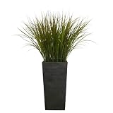 Laura Ashley  48¿ Grass floor plant
