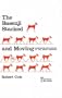 The Basenji Stacked and Moving