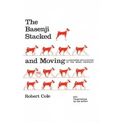 Basenji Stacked and Moving