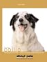 Border Collie (About Pets)