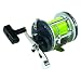 Beast Level Wind Reel