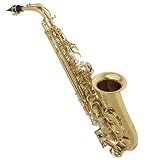 Suzuki Deluxe AS-SC Alto Saxophone Outfit