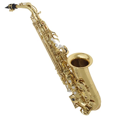 Childrens Toyshop  Musical Instruments : Suzuki Deluxe AS-SC Alto Saxophone Outfit