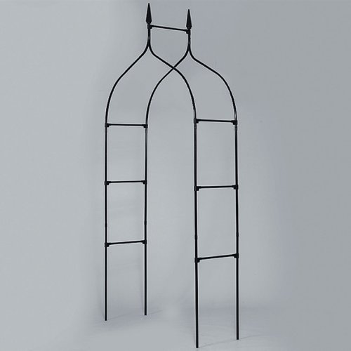 GARDMAN 07730X Rosenbogen schwarz GOTHIC 295x140cm