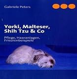Yorki, Malteser, Shih Tzu & Co: Pflege, Haaranlagen, Frisurenbeispiele