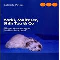 Yorki, Malteser, Shih Tzu & Co: Pflege, Haaranlagen, Frisurenbeispiele