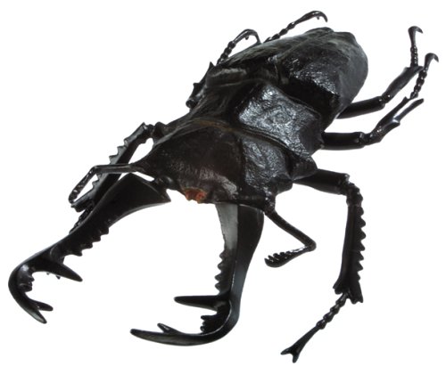 セガ 甲虫王者ムシキング ギラファノコギリクワガタ エロゲー アダルト イメージ フォト ギャラリー 画像 動画 写真集