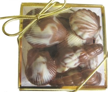 Chocolate Seashell Gift Box -- Great Party Favor