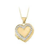 14K Two Tone Gold 14.50 x 15.25 MM Heart Locket with Chain