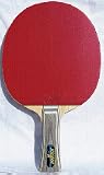 Butterfly 7285 Viscaria FL Table Tennis Racket - B0008G2V9O