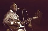 Muddy Waters, Art Poster by Bill Greene, size 10