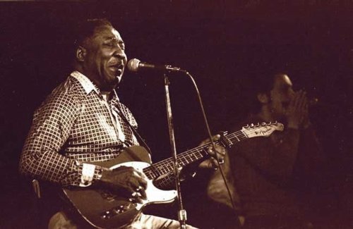 Muddy Waters, Art Poster by Bill Greene, size 10