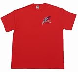 Powell-Peralta Mike McGill F14 Fighter Plane T-Shirt (Small, Red)
