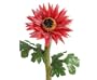 Solar-Powered Daisy Light