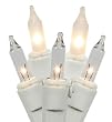 Set of 100 Clear and Frost Mini Christmas Lights - White Wire