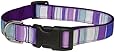 Sassy Dog Wear 18-28-Inch Purple/Multi Stripe Dog Collar, Large
