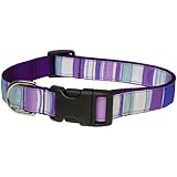 Sassy Dog Wear 18-28-Inch Purple/Multi Stripe Dog Collar, Large