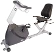 LifeSpan Fitness R3 Recumbent Exercise Bike