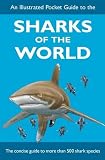 An illustrated pocket guide to the sharks of the world