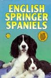 English Springer Spaniels